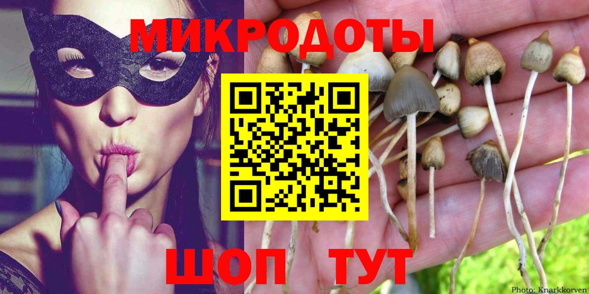 Горно-Алтайск  Галлюциногенные грибы прущие грибы  Псилоцибиновые грибы мухоморы  Вход с VPN 